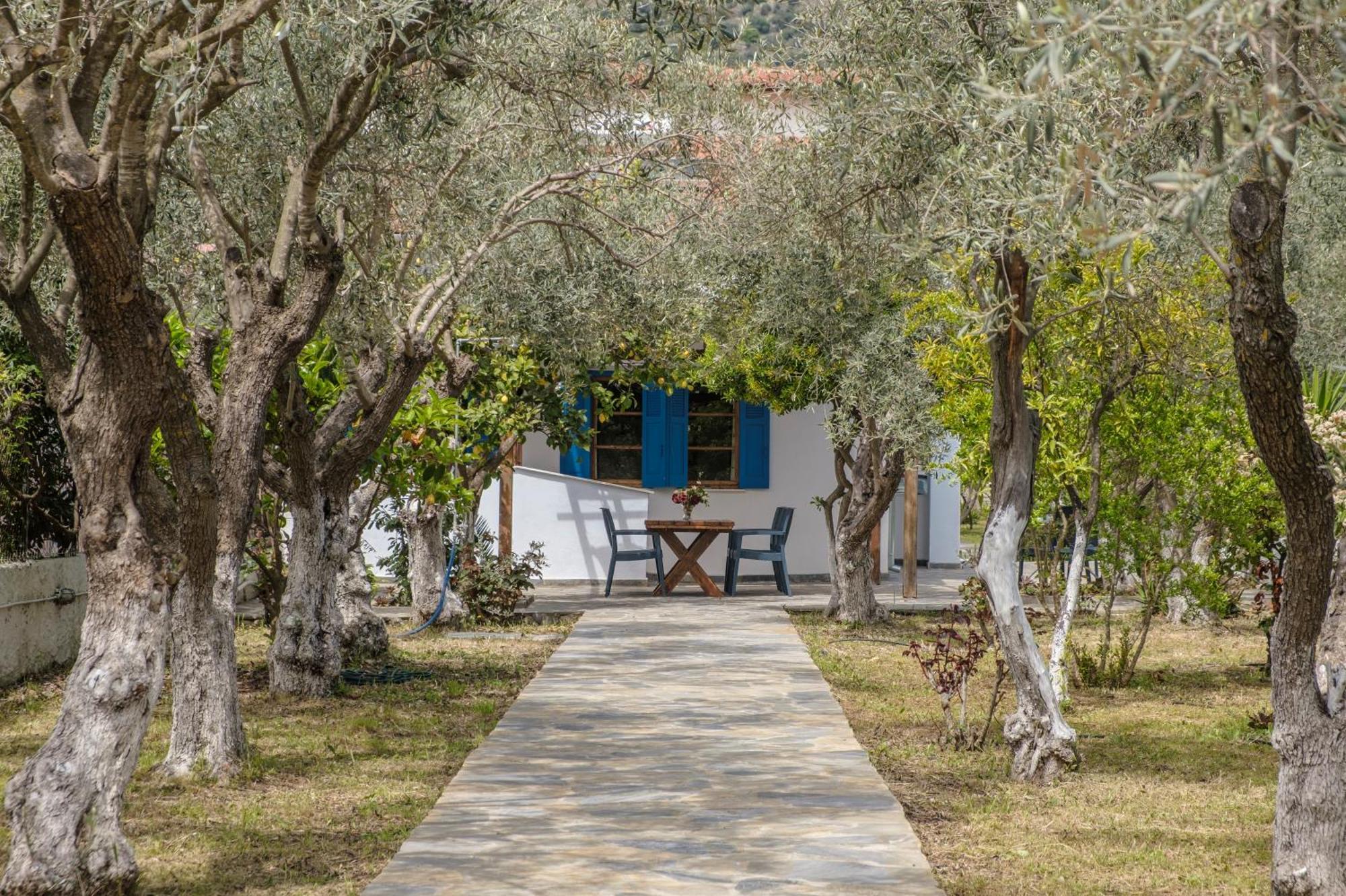 Seaside Resort Kritharia  Εξωτερικό φωτογραφία